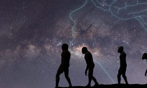 Adaptable header blog